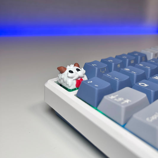 Klawisz Poro